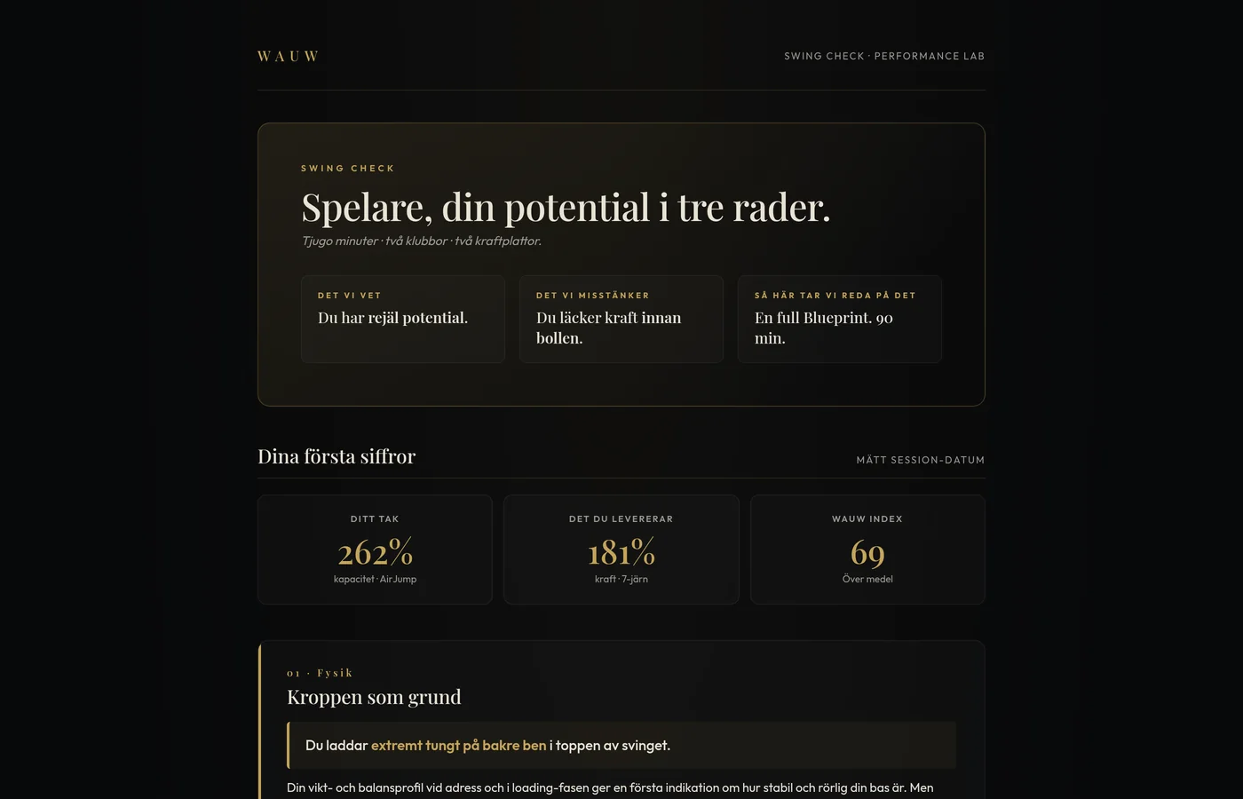 Exempel på Swing Check-rapport — klicka för att se hela rapporten